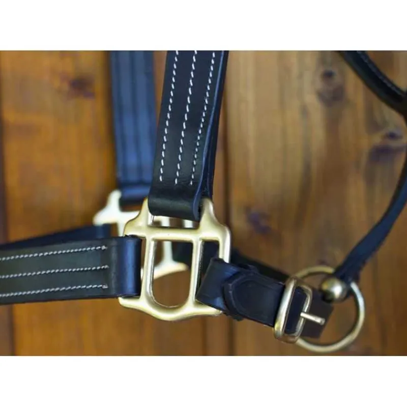 T de T Licol cuir triple couture> Licol En Cuir