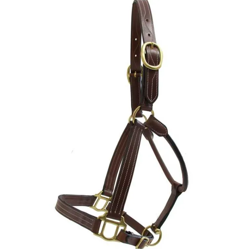T de T Licol cuir triple couture> Licol En Cuir