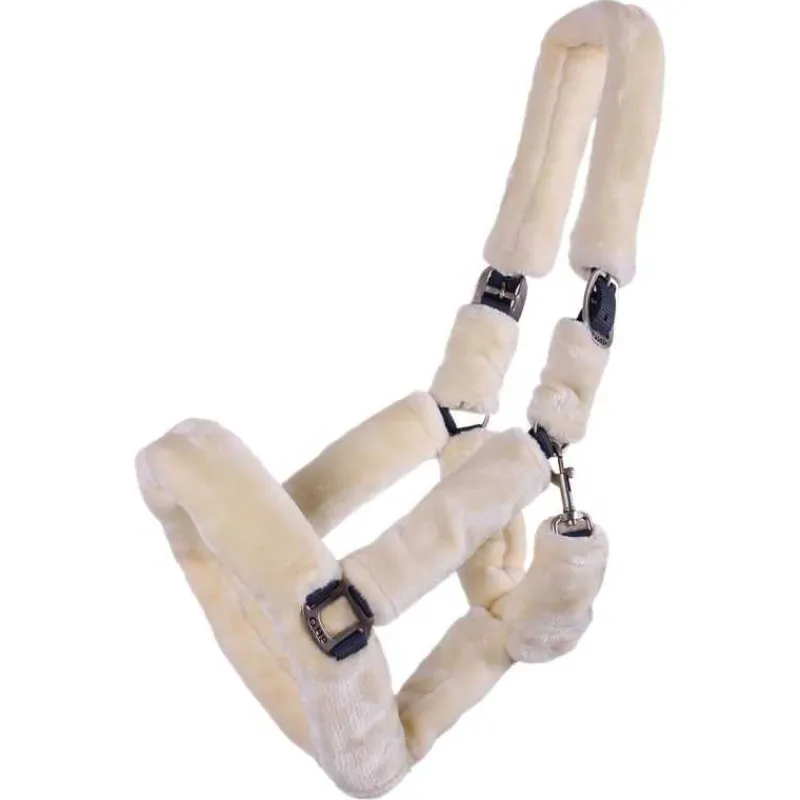 QHP Licol de transport Alaska> Licol Nylon|Licol Mouton