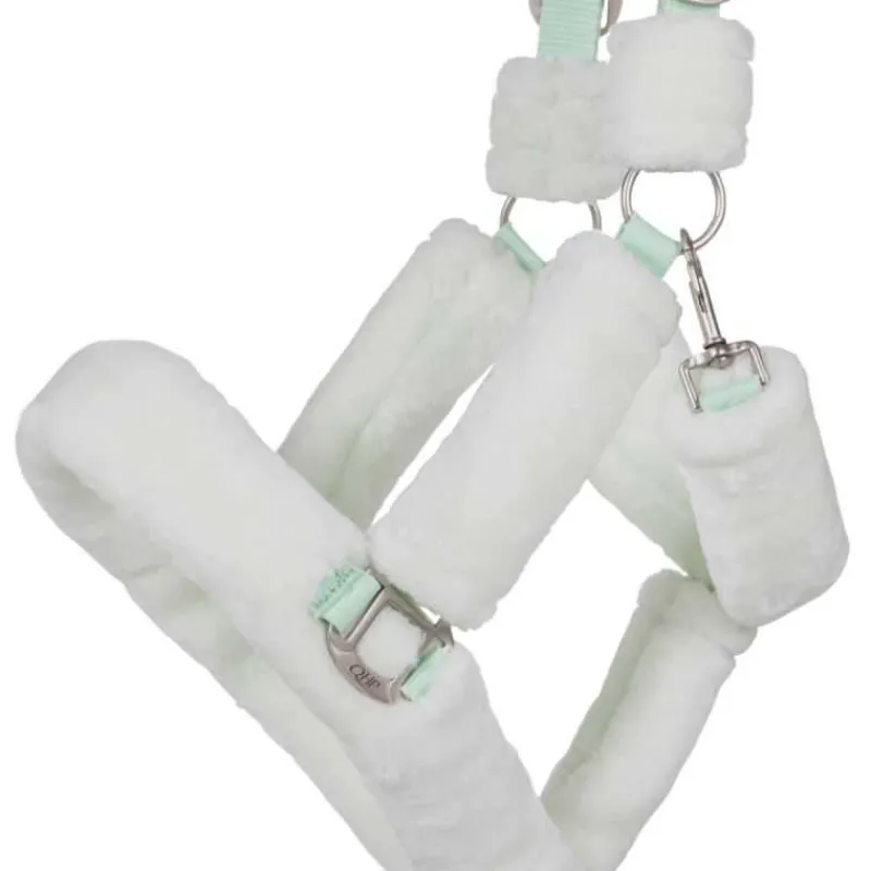 QHP Licol de transport Alaska> Licol Nylon|Licol Mouton