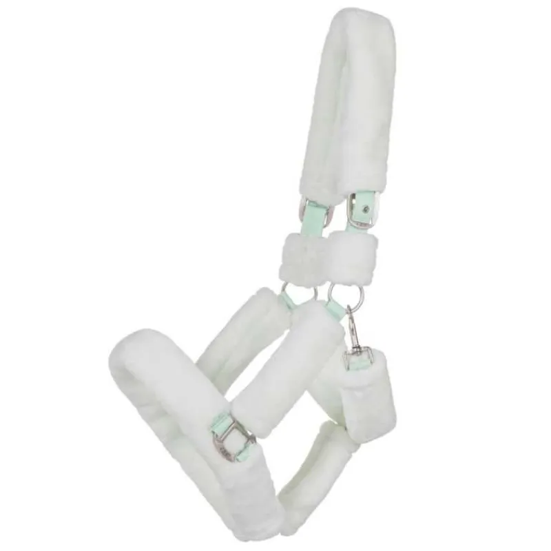 QHP Licol de transport Alaska> Licol Nylon|Licol Mouton