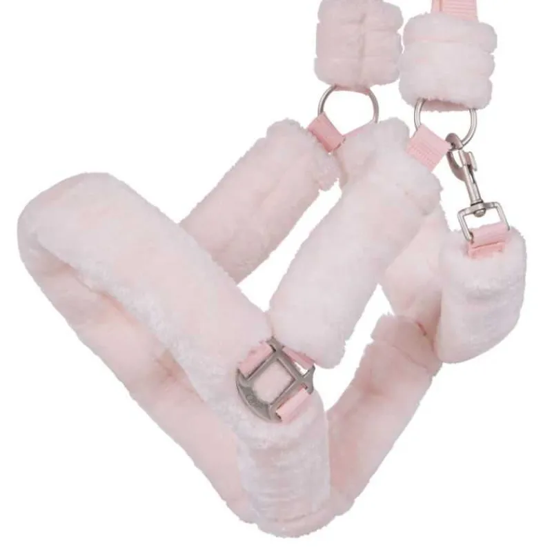 QHP Licol de transport Alaska> Licol Nylon|Licol Mouton