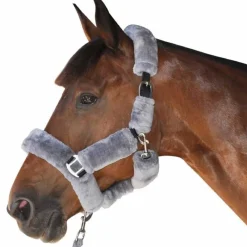 CANTER Licol de transport><noscript><img data-lazyloaded=