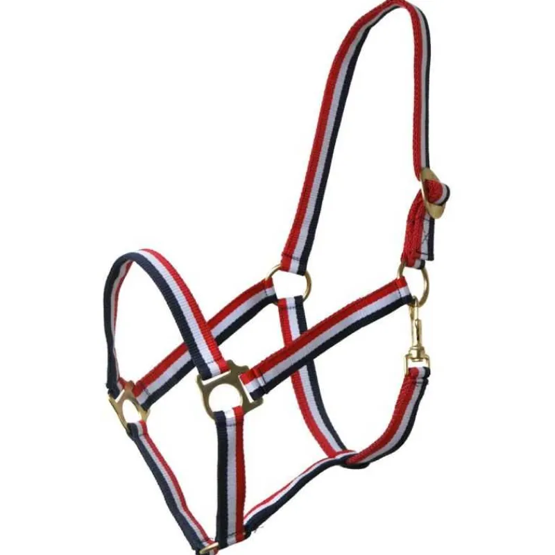 QHP Licol drapeau Q-essentials> Licol Nylon