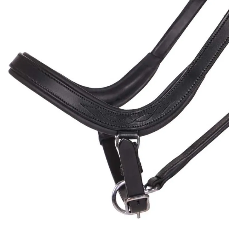 QHP Licol en cuir anatomique Salerno> Licol En Cuir