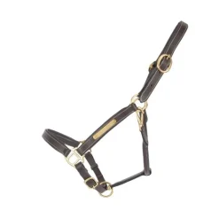T de T Licol en cuir avec plaque> Licol En Cuir