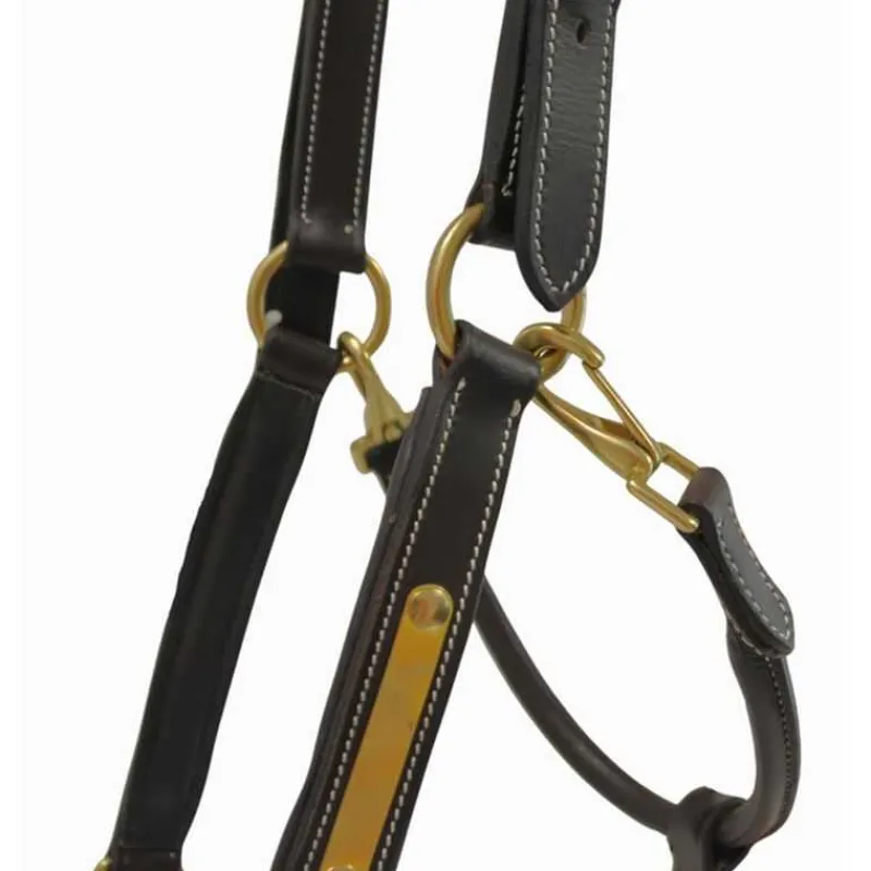 T de T Licol en cuir avec plaque> Licol En Cuir