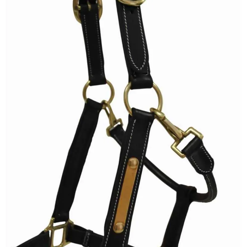 T de T Licol en cuir avec plaque> Licol En Cuir