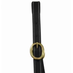 T de T Licol en cuir avec plaque><noscript><img data-lazyloaded=