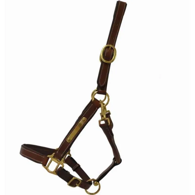 T de T Licol en cuir avec plaque> Licol En Cuir