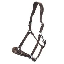 STATIONATA Licol en cuir Confort><noscript><img data-lazyloaded=