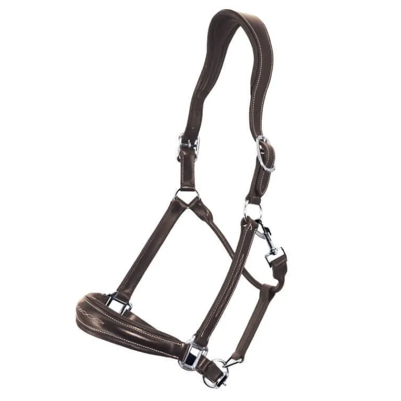 STATIONATA Licol en cuir Confort> Licol En Cuir