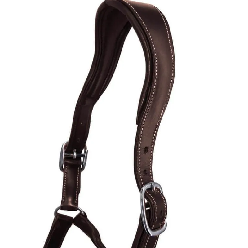 STATIONATA Licol en cuir Confort> Licol En Cuir