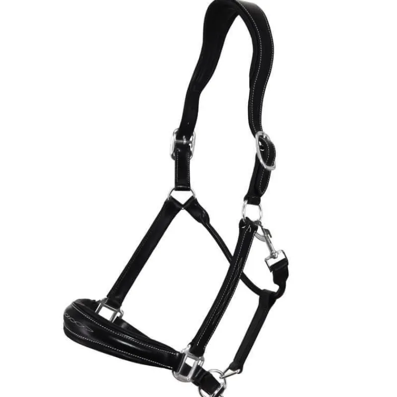 STATIONATA Licol en cuir Confort> Licol En Cuir