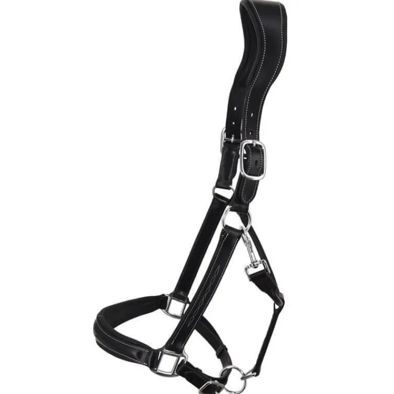 STATIONATA Licol en cuir Confort> Licol En Cuir