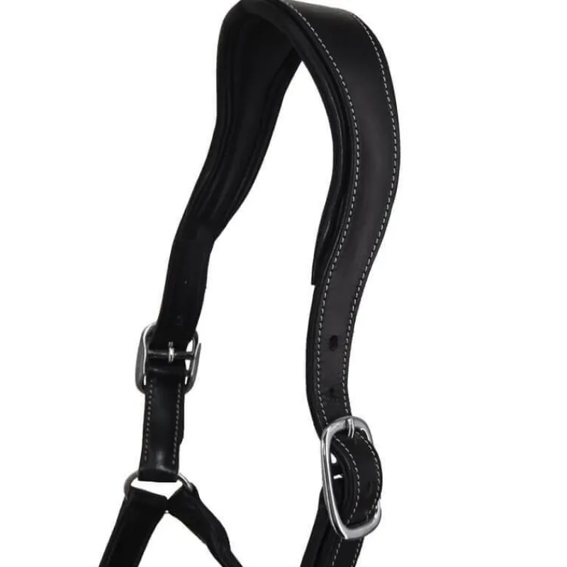 STATIONATA Licol en cuir Confort> Licol En Cuir