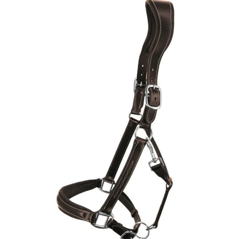 STATIONATA Licol en cuir Confort> Licol En Cuir