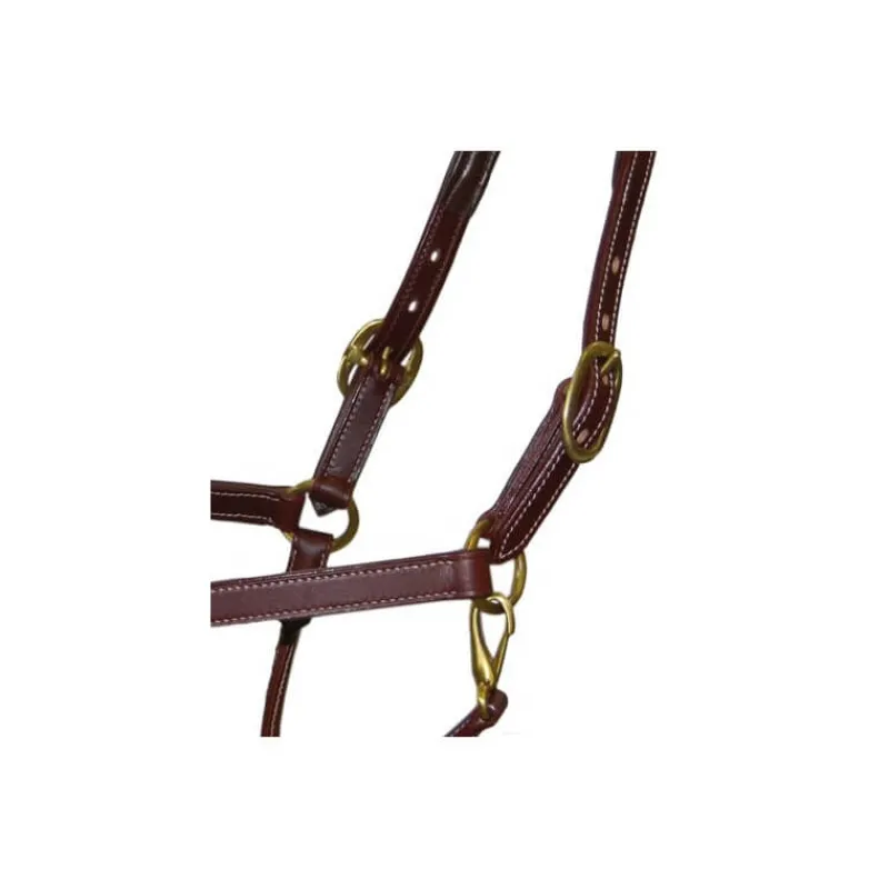 STATIONATA Licol en cuir Fashion> Licol En Cuir