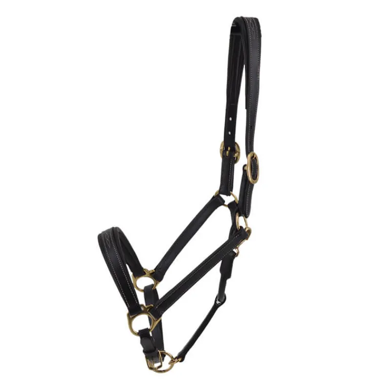 STATIONATA Licol en cuir Fashion> Licol En Cuir