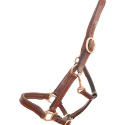 T de T Licol en cuir Foal ou mini><noscript><img data-lazyloaded=
