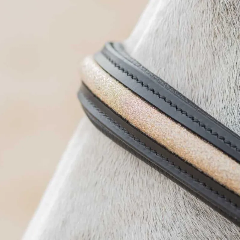CANTER Licol en cuir Mylord> Licol En Cuir