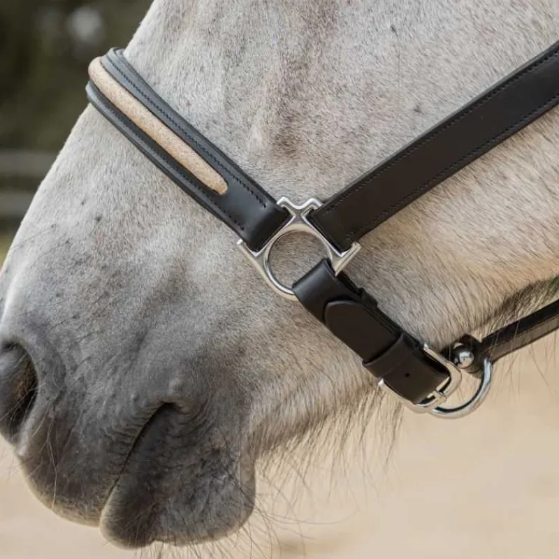CANTER Licol en cuir Mylord> Licol En Cuir