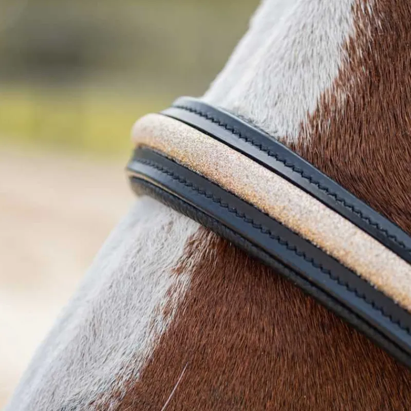CANTER Licol en cuir Mylord> Licol En Cuir