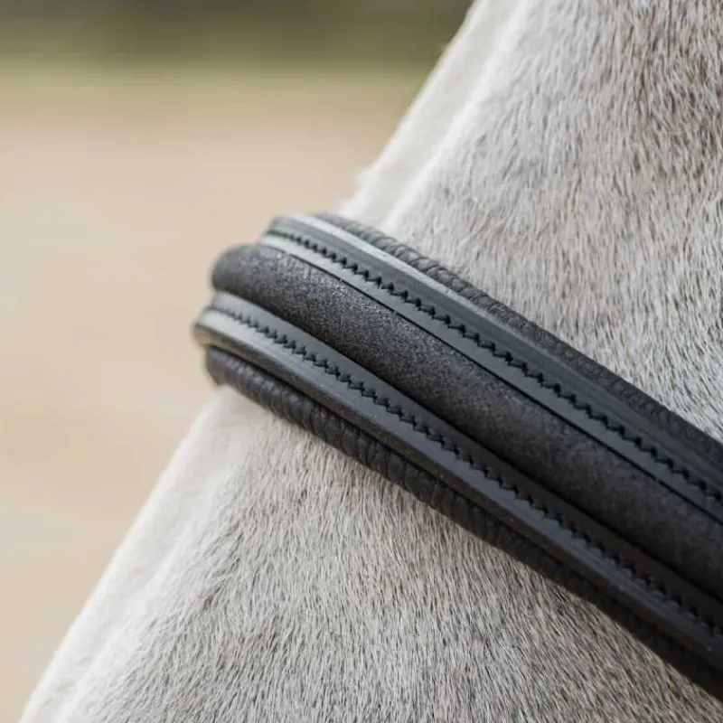 CANTER Licol en cuir Mylord> Licol En Cuir