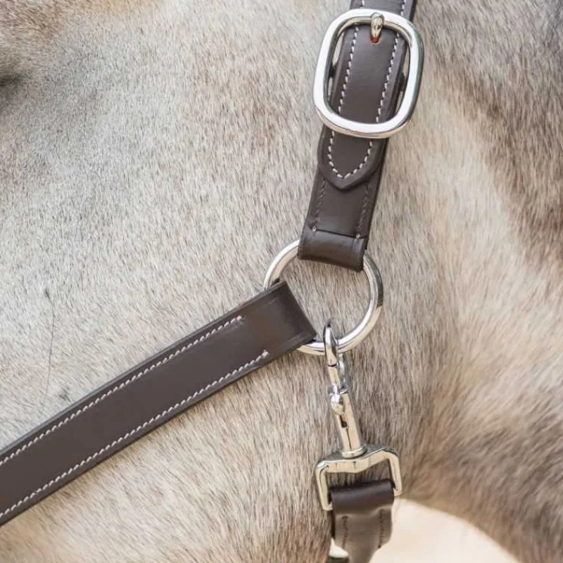 CANTER Licol en cuir Mylord> Licol En Cuir
