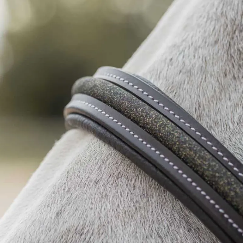 CANTER Licol en cuir Mylord> Licol En Cuir