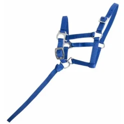 T de T Licol foal> Licol Poulain Et Shetland|Licol Nylon