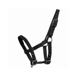 WALDHAUSEN Licol mini Shetland> Licol Poulain Et Shetland|Licol Nylon