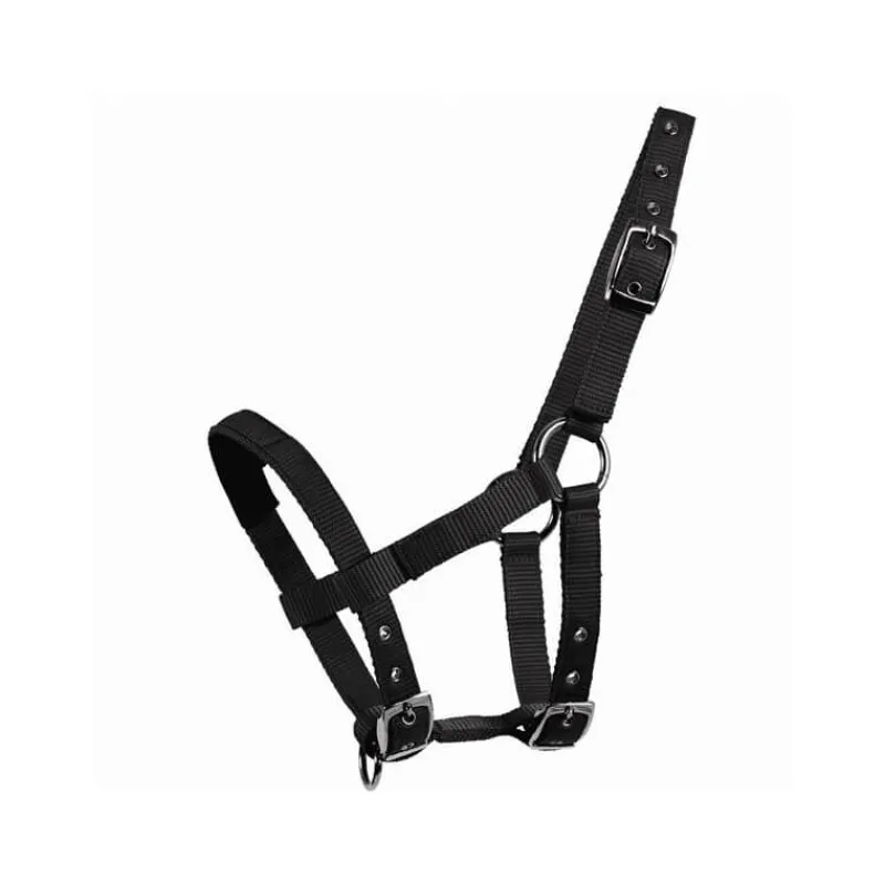 WALDHAUSEN Licol mini Shetland> Licol Poulain Et Shetland|Licol Nylon