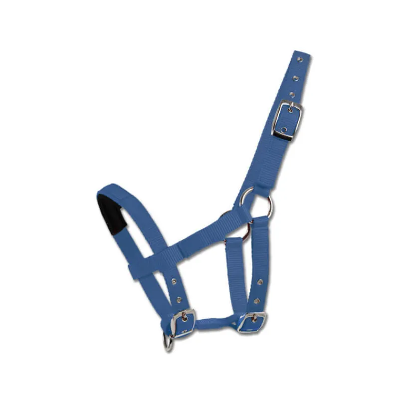 WALDHAUSEN Licol mini Shetland> Licol Poulain Et Shetland|Licol Nylon