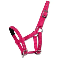 WALDHAUSEN Licol mini Shetland><noscript><img data-lazyloaded=