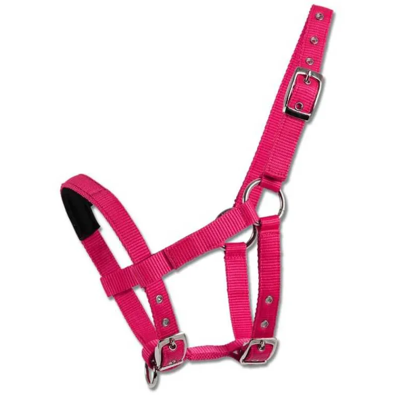 WALDHAUSEN Licol mini Shetland> Licol Poulain Et Shetland|Licol Nylon