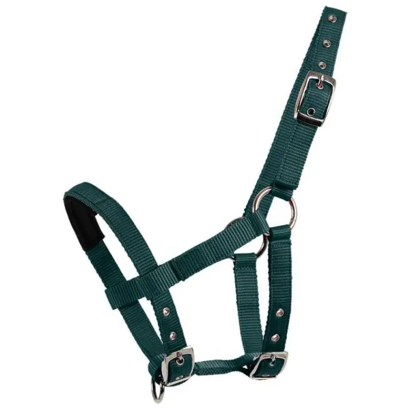 WALDHAUSEN Licol mini Shetland> Licol Poulain Et Shetland|Licol Nylon