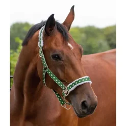 QHP Licol Noël> Licol Nylon|Licol Mouton