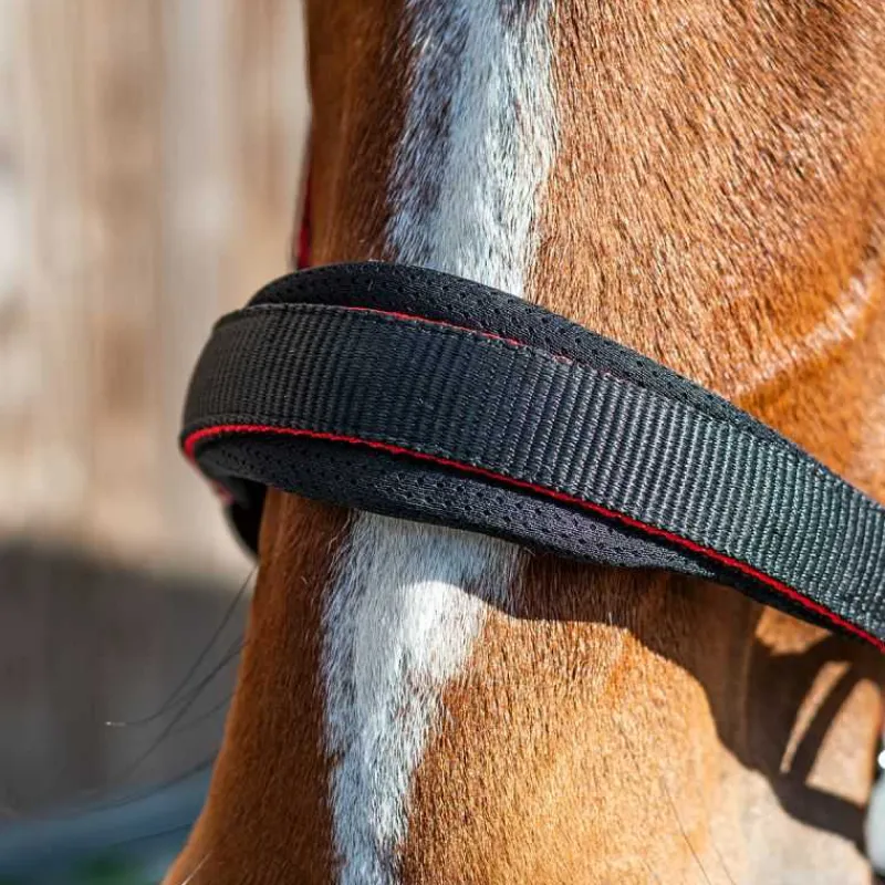 STATIONATA Licol nylon et mesh> Licol Nylon