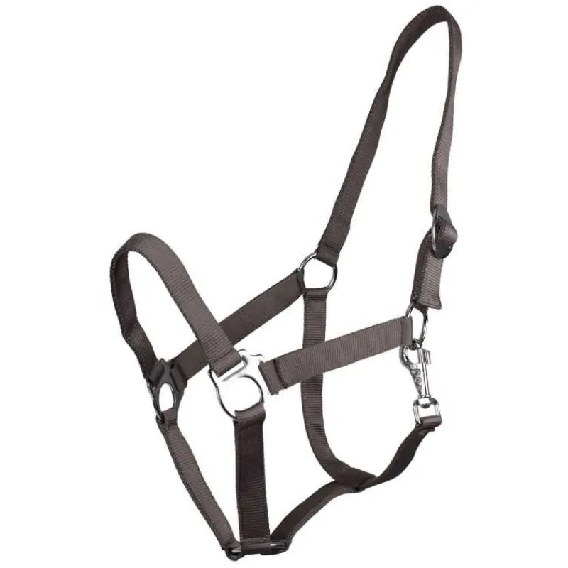 Q-ESSENTIALS Licol nylon glissière> Licol Poulain Et Shetland|Licol Nylon