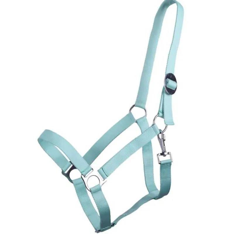 Q-ESSENTIALS Licol nylon glissière> Licol Poulain Et Shetland|Licol Nylon