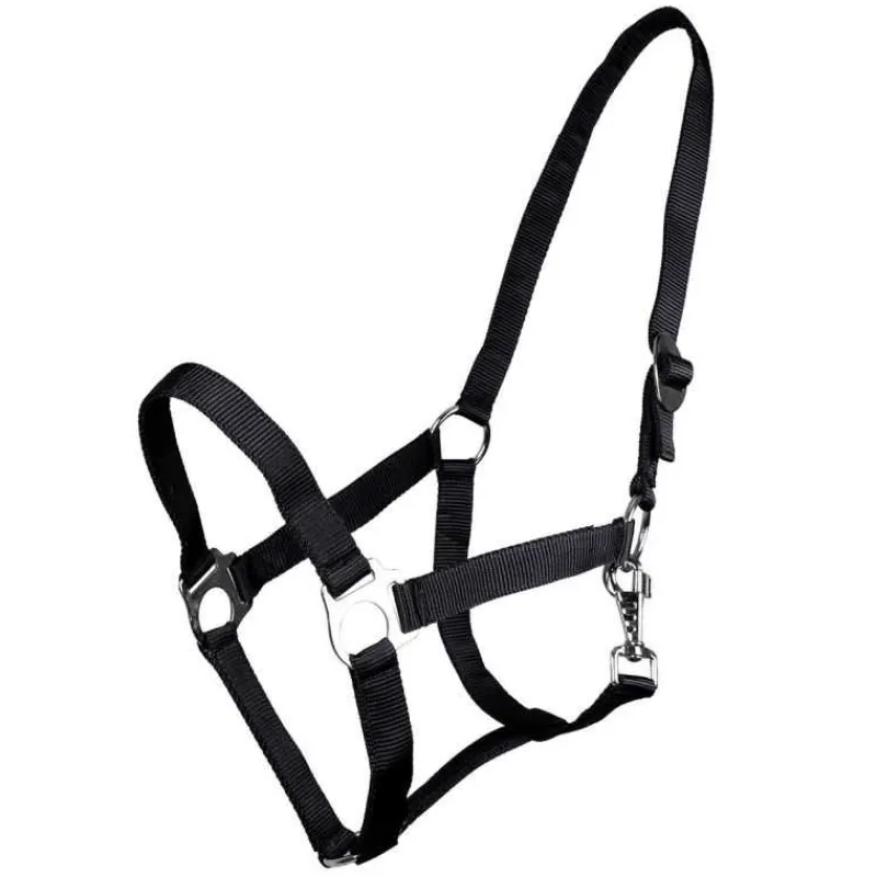 Q-ESSENTIALS Licol nylon glissière> Licol Poulain Et Shetland|Licol Nylon