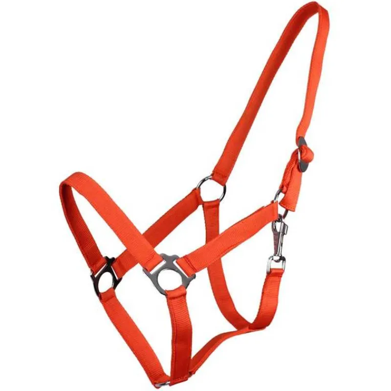 Q-ESSENTIALS Licol nylon glissière> Licol Poulain Et Shetland|Licol Nylon