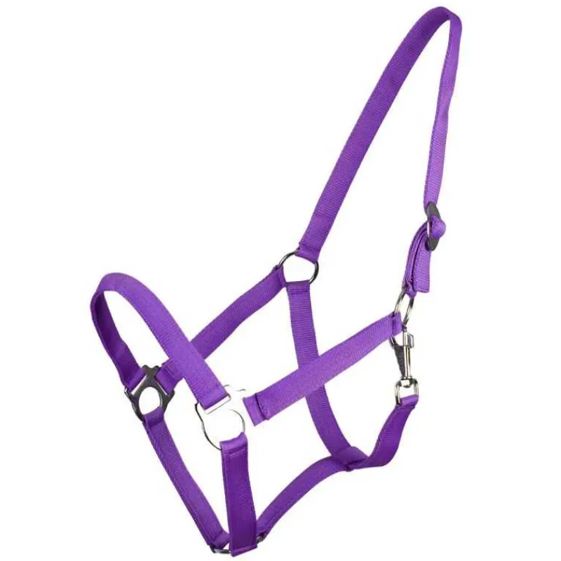 Q-ESSENTIALS Licol nylon glissière> Licol Poulain Et Shetland|Licol Nylon