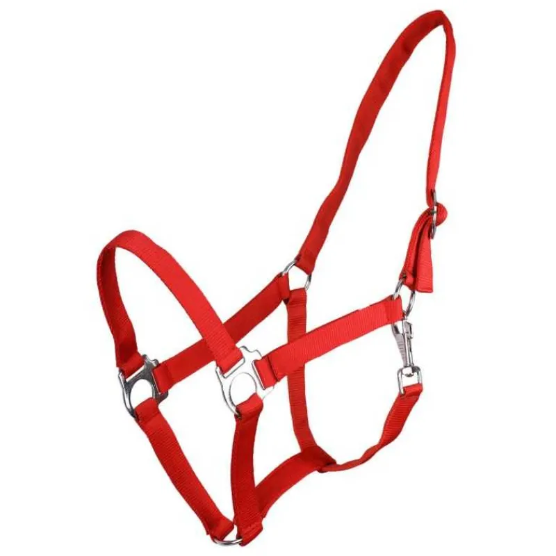 Q-ESSENTIALS Licol nylon glissière> Licol Poulain Et Shetland|Licol Nylon