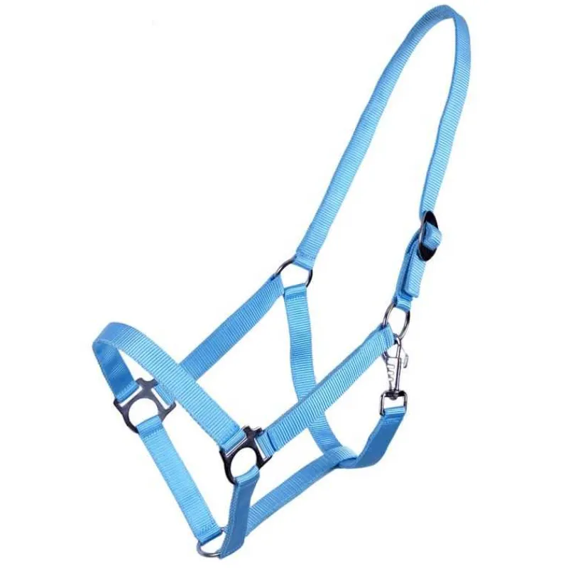 Q-ESSENTIALS Licol nylon glissière> Licol Poulain Et Shetland|Licol Nylon