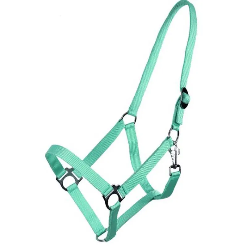 Q-ESSENTIALS Licol nylon glissière> Licol Poulain Et Shetland|Licol Nylon