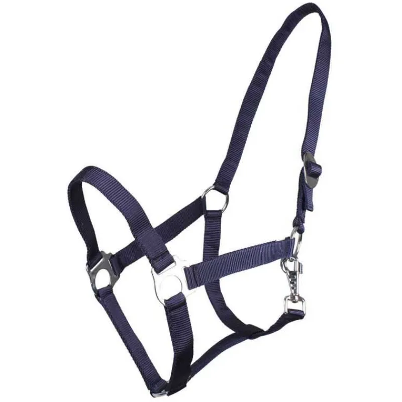 Q-ESSENTIALS Licol nylon glissière> Licol Poulain Et Shetland|Licol Nylon
