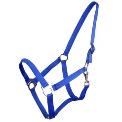 Q-ESSENTIALS Licol nylon glissière><noscript><img data-lazyloaded=