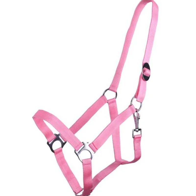 Q-ESSENTIALS Licol nylon glissière> Licol Poulain Et Shetland|Licol Nylon